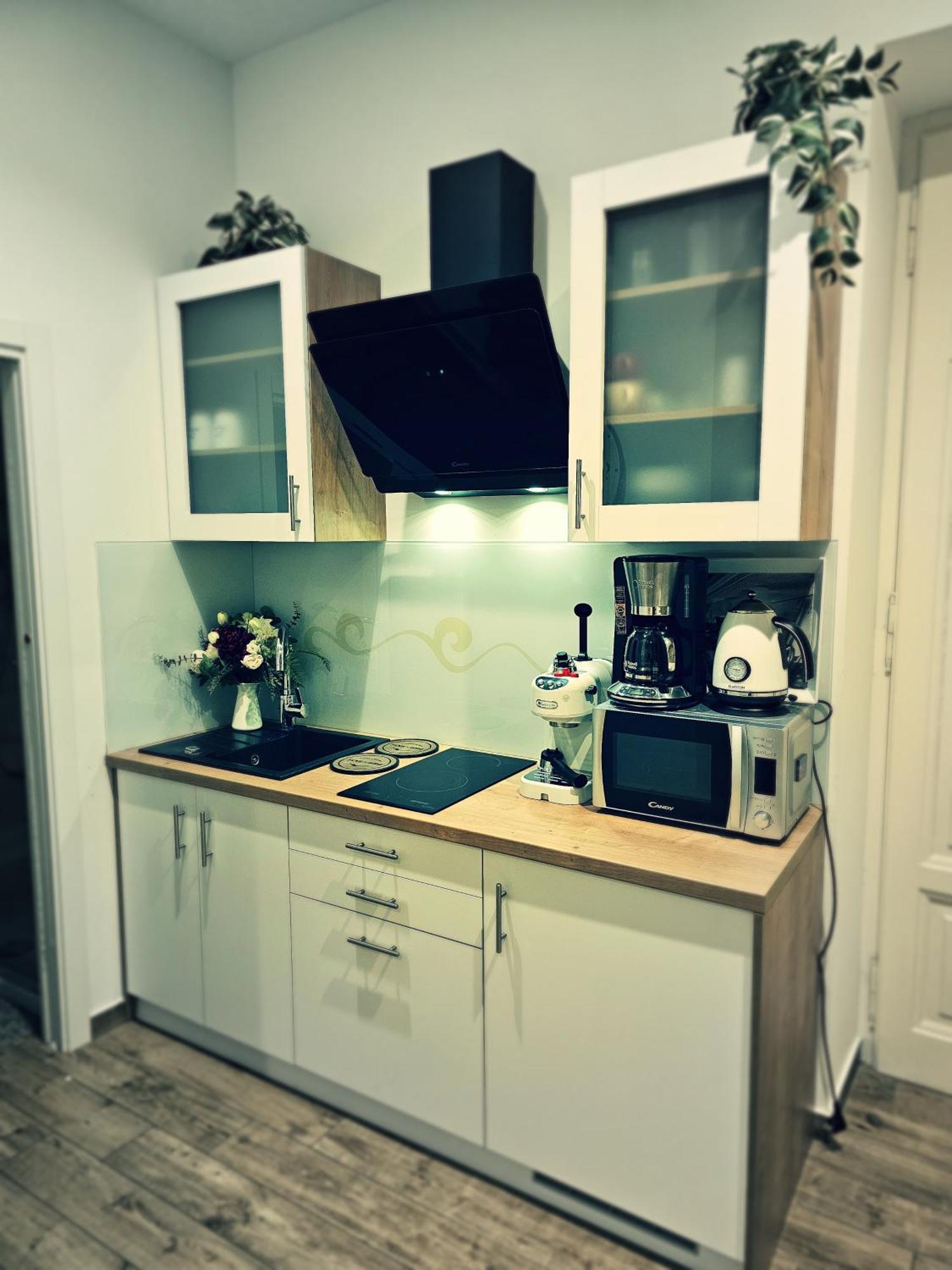 Studio Apartman Villa Gianna Lovran Zewnętrze zdjęcie