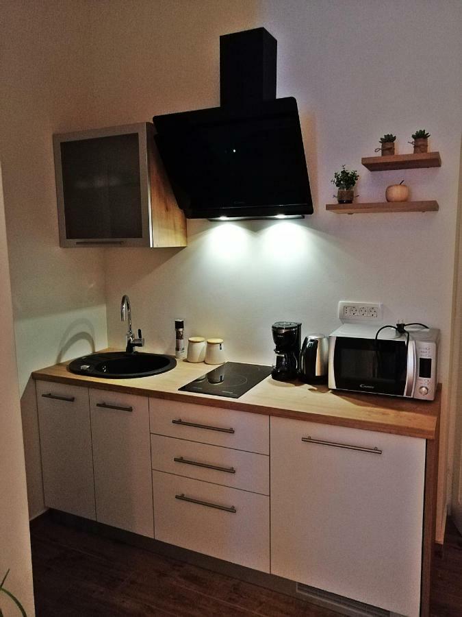 Studio Apartman Villa Gianna Lovran Zewnętrze zdjęcie